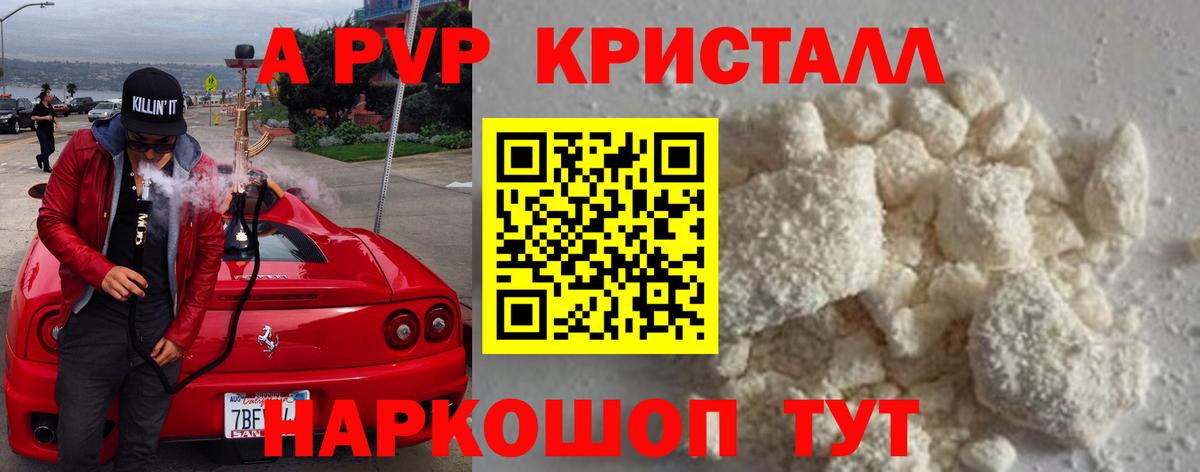Альфа ПВП СК КРИС  A-PVP крисы CK  Вход с VPN  Мценск 